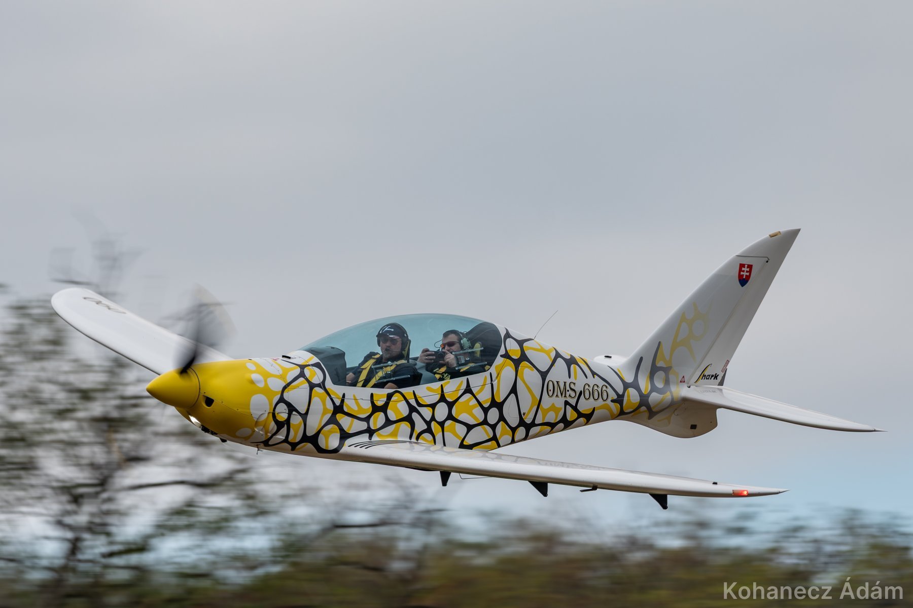 Shark 2
