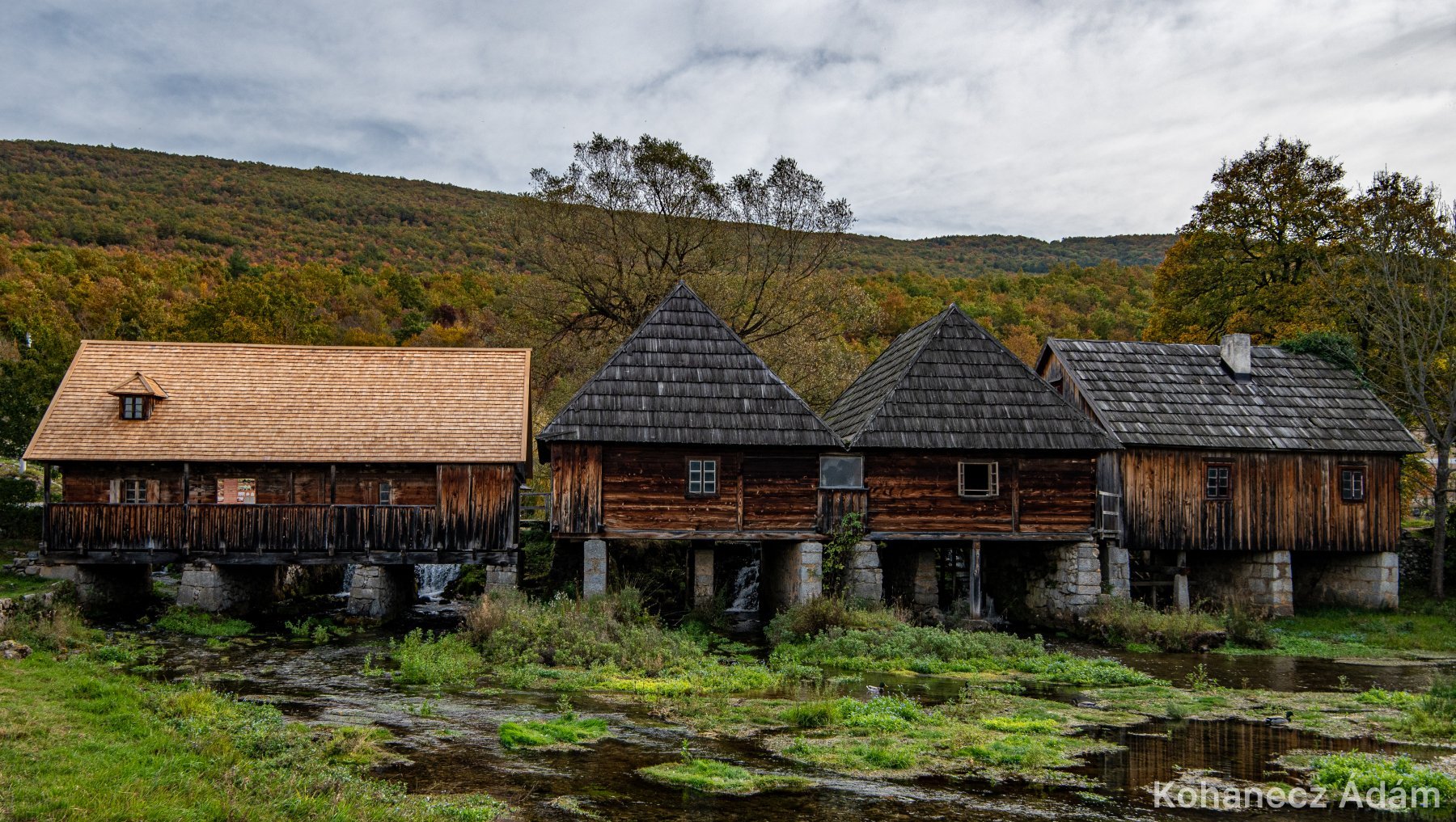 Vízimalmok